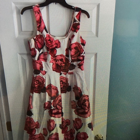 Dresses & Skirts - Floral Sleeveless Dress - Red and White